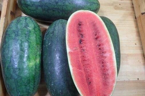 海南吃瓜网站,揭秘热带风情美食圈