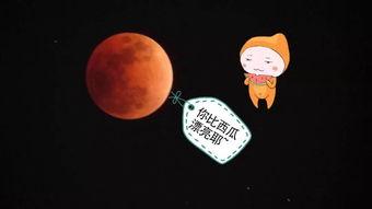 去月亮吃瓜,一场别开生面的太空美食之旅