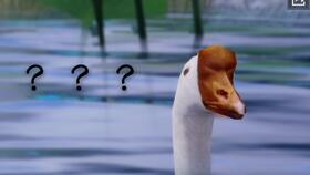 梦别人吃瓜,揭秘梦中吃瓜的神秘寓意