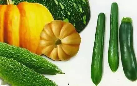 半马吃瓜,一场别开生面的马拉松盛宴