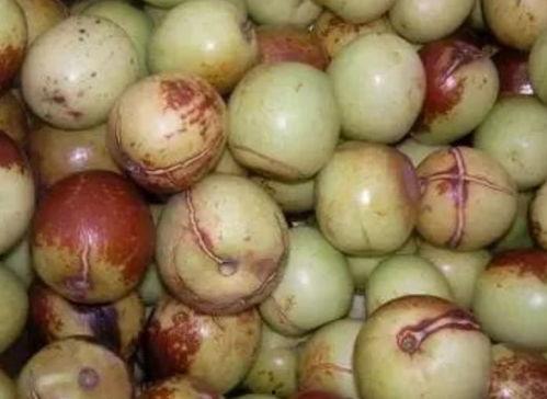 吃三瓜两枣同是歪瓜裂枣,歪瓜裂枣的趣味解读