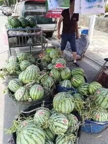 惠州龙门吃瓜事件