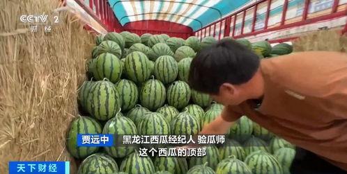 吃瓜保暖衣,吃瓜保暖衣，温暖你的每一个瞬间