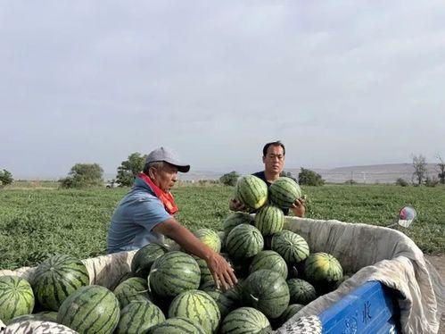 武汉裸走事件吃瓜,街头奇观引发社会热议